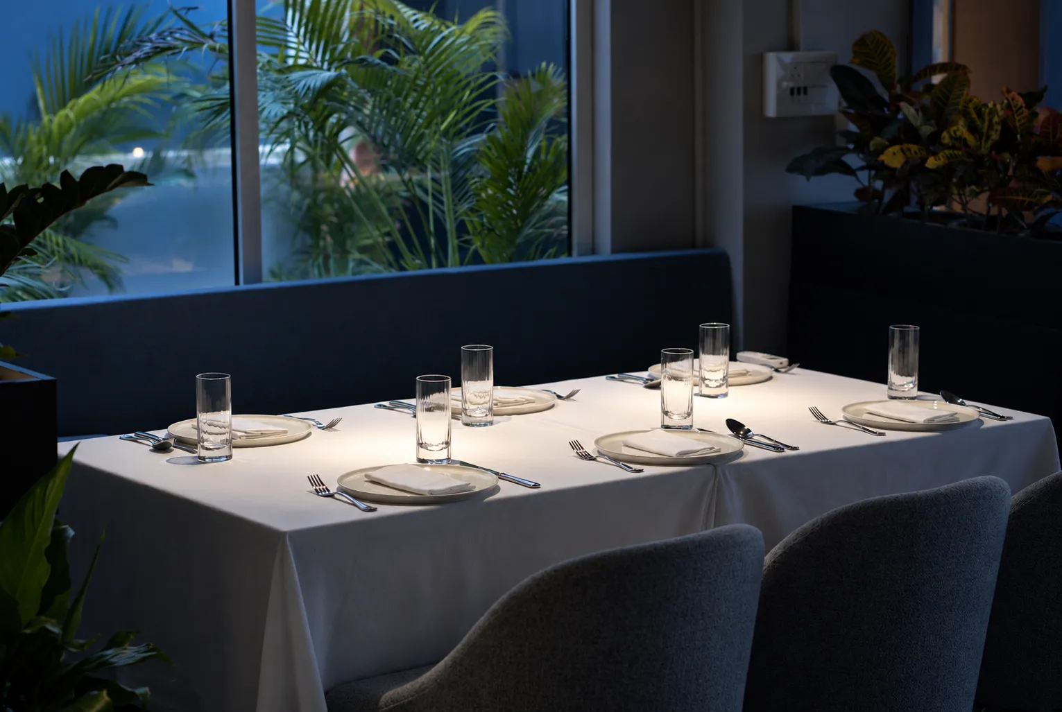 A window table looking out at palms in the blue evening light